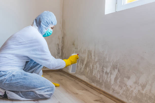 Licensed Mold Testing service in Wallops Island, VA - WQB Mold Removal