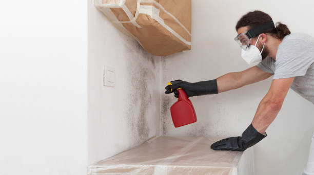 Professional Mold Testing technician working in Wallops Island, VA