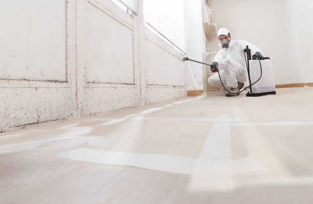 Trusted Mold Testing service in Wallops Island, VA - WQB Mold Removal
