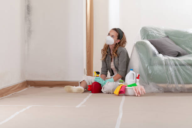 Reliable Mold Testing contractor in Wallops Island, VA by WQB Mold Removal